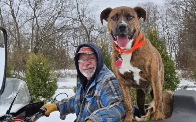Park Your Paws Kennels in Wheatfield, IN