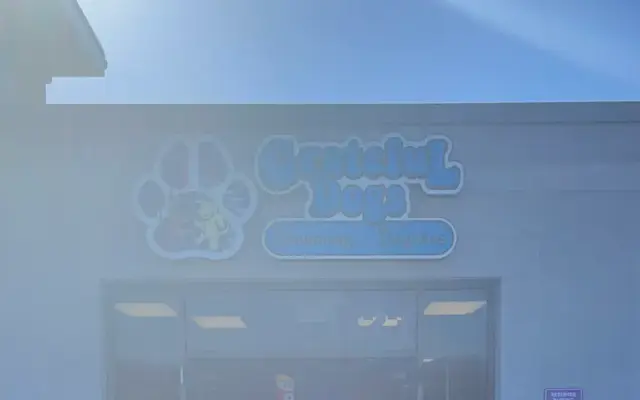 Grateful Dogs Grooming & Daycare in Wayne, NJ