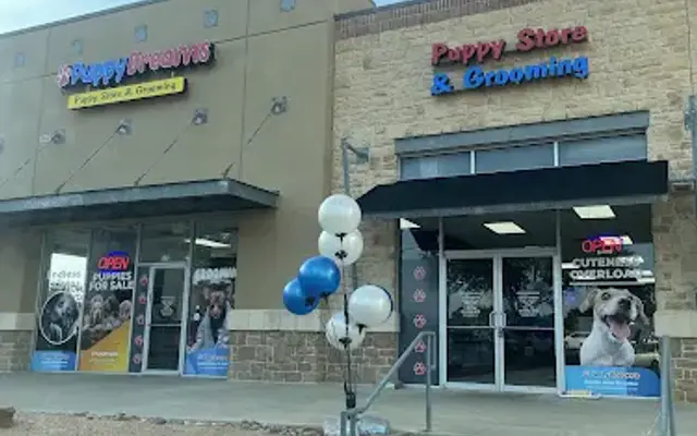 Puppy Dreams - North Richland Hills in North Richland Hills, TX