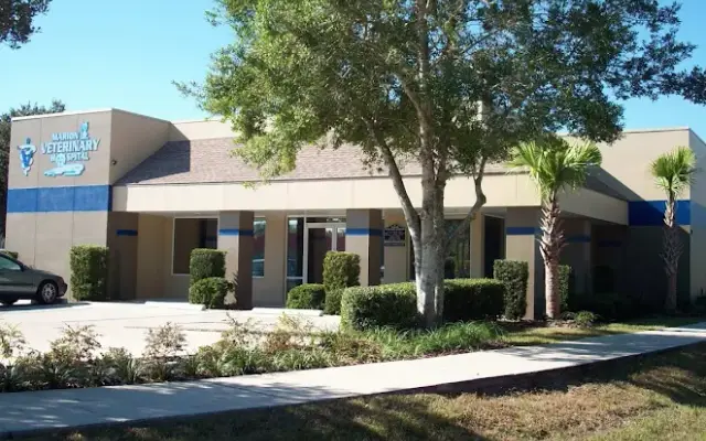 Marion Veterinary Hospital in Ocala, FL