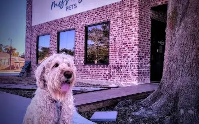 Misha's Pets of LC & Self Serve Dog Wash in Lake Charles, LA