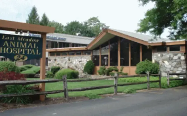 VCA East Meadow Animal Hospital in East Meadow, NY