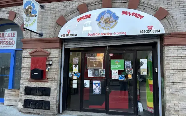Where My Dogs At? Pet Spa & Hotel in Brooklyn, NY