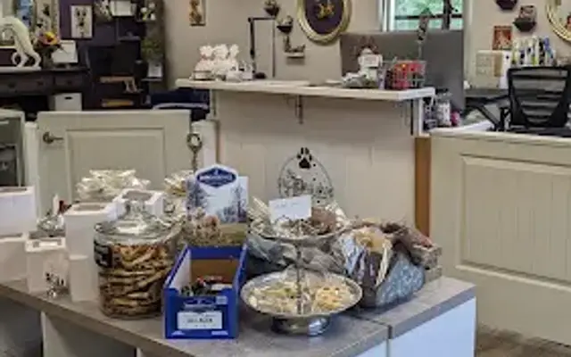 Going Mutts LLC in Concord, NH