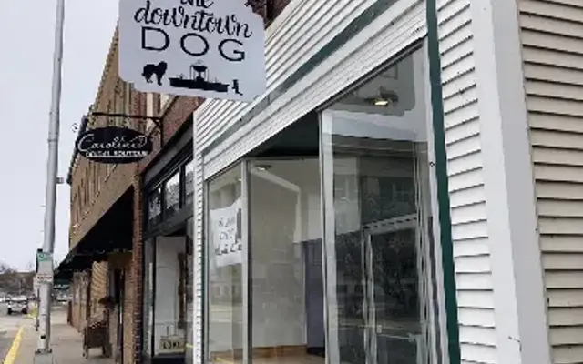 The Downtown Dog LLC in Stevens Point, WI
