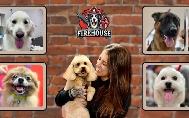 Firehouse Dog Grooming in Decatur, TX