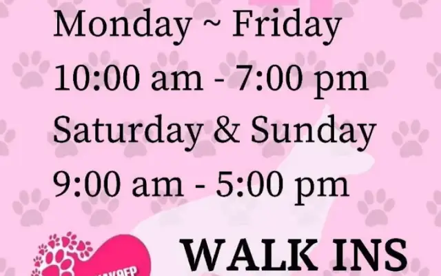 Viva K9 Training, Boarding and Grooming Center in Eagle Pass, TX