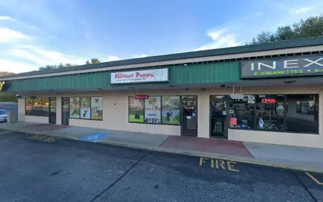 Shagalicious Pet Grooming in West Warwick, RI