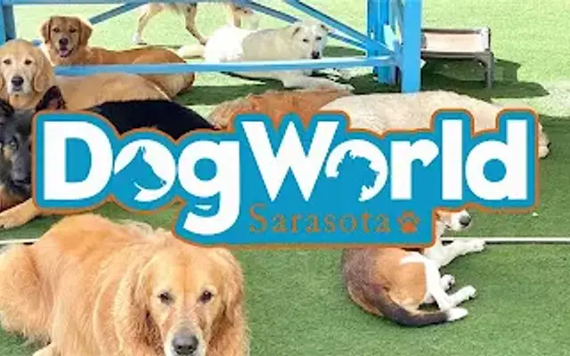 Dog World Sarasota in Sarasota, FL