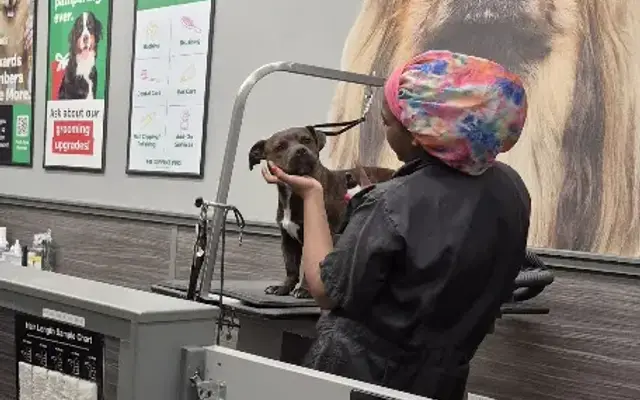 Pet Supplies Plus Florissant Grooming in Florissant, MO