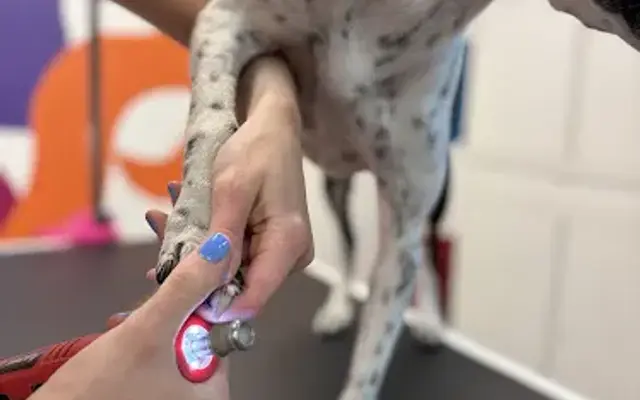 Muddy Buddy Pet Spa in St. George, UT