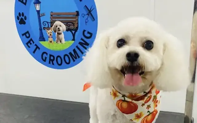 Bark Avenue Pet Grooming in Orlando, FL
