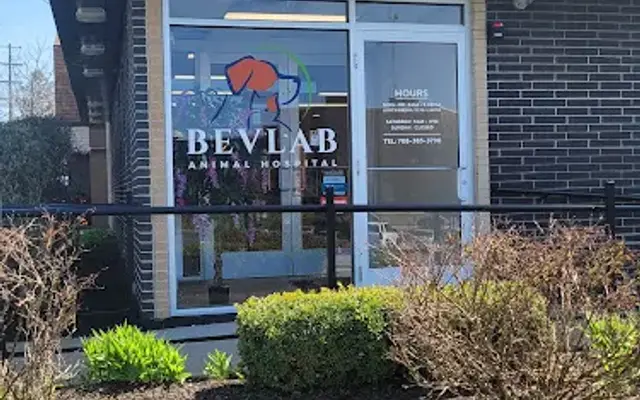 Bevlab Animal Hospital in Blue Island, IL
