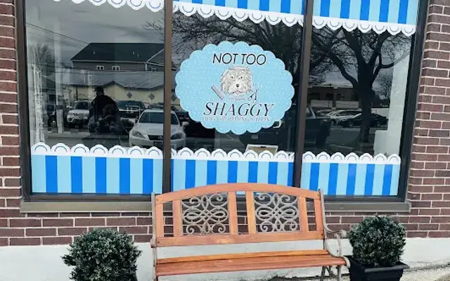 Not Too Shaggy in Maynard, MA