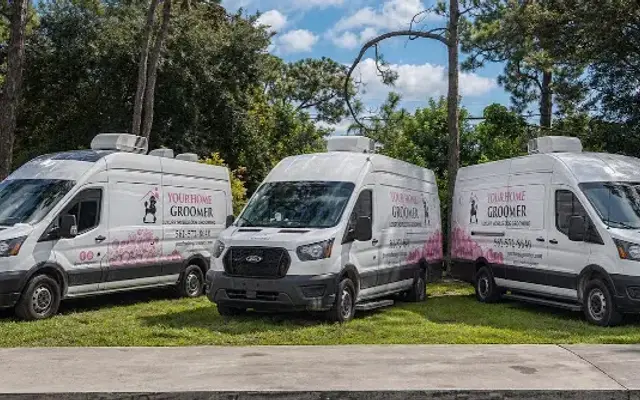 Your Home Groomer in Royal Palm Beach, FL