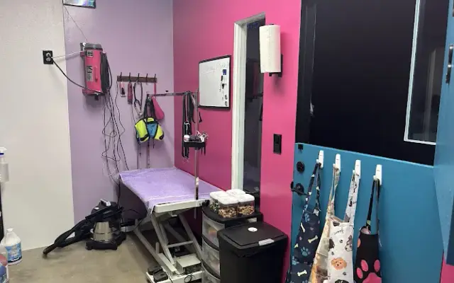 Megz Pet Grooming in Phoenix, AZ