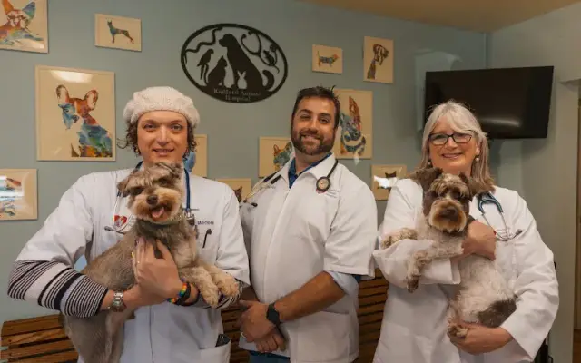 Radford Animal Hospital in Fairlawn, VA