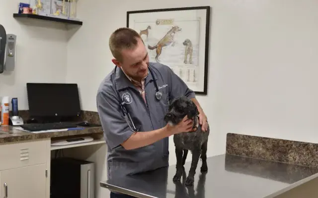 South Fork Animal Clinic in Rigby, ID