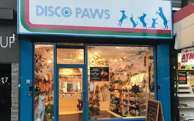 Disco Paws in Astoria, NY
