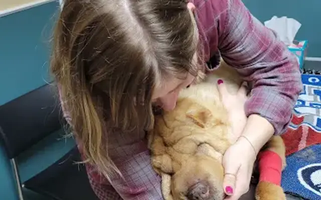 Eascor Animal Hospital in Flint, MI