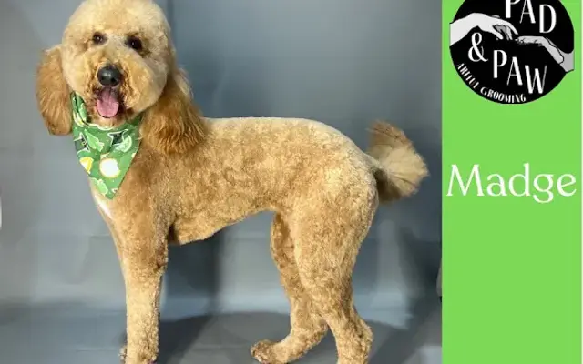 Pad & Paw Pet Salon in Southport, NC