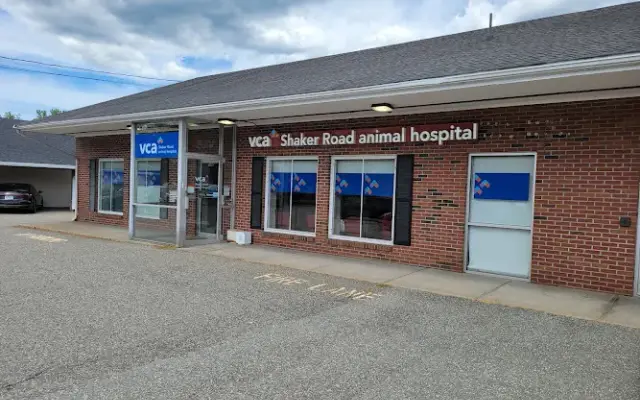 VCA Shaker Road Animal Hospital in East Longmeadow, MA
