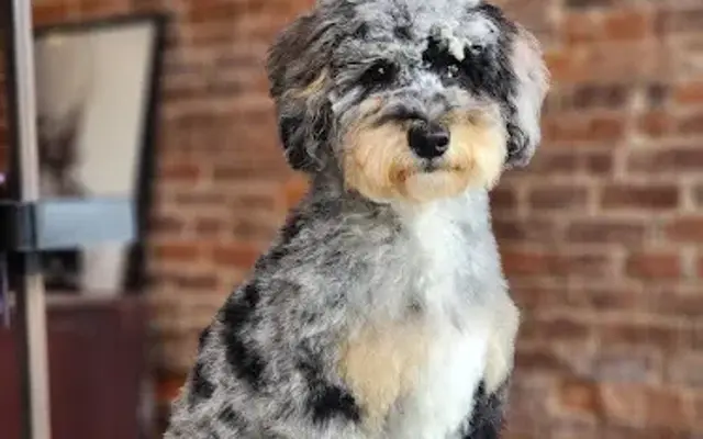 The Pawlor in Orleans, IN