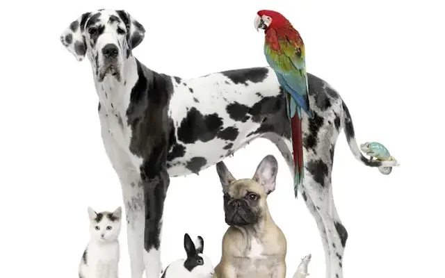 Tarheel Total Pet Care in Bedminster, NJ