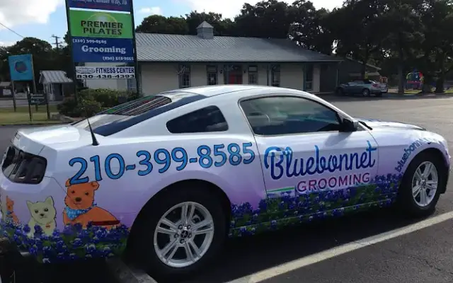 Bluebonnet Grooming in San Antonio, TX