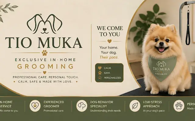 Tio Muka In-Home grooming in Uxbridge, MA