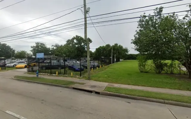 Pet Grooming On Wheels in Houston, TX
