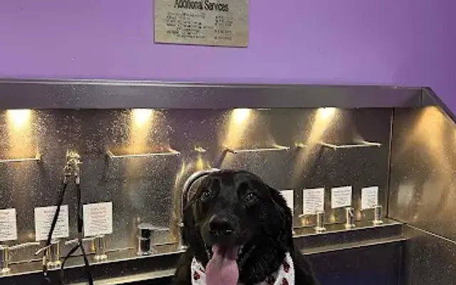 Liberty Paw Spa in Lexington, NC