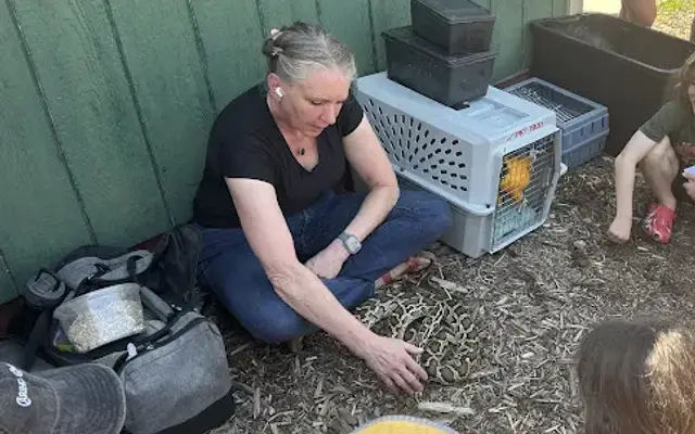Colorado Bird Lady in Thornton, CO