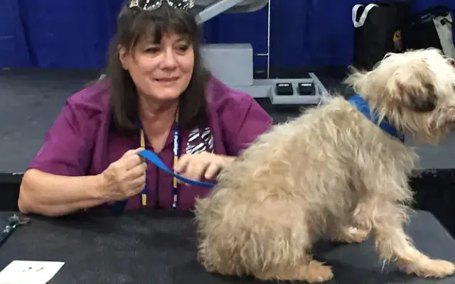 Fur Babies Paw Spa, Mobile Pet Salon in Pahrump, NV