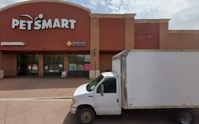 PetSmart Doggie Day Camp in Fort Collins, CO