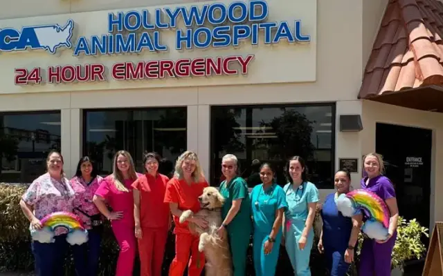 VCA Hollywood Animal Hospital in Hollywood, FL