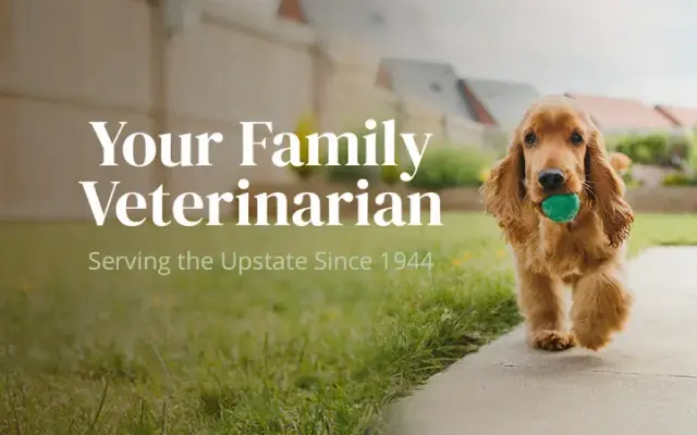 Cleveland Park Animal Hospital of Greenville in Greenville, SC