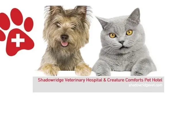 Shadowridge Veterinary Hospital & Creature Comforts Pet Hotel in Vista in Vista, CA