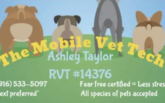 The Mobile Vet Tech in Rancho Cordova, CA