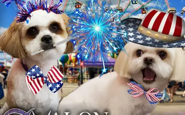Avalon Pet Styles in Brooklyn, NY