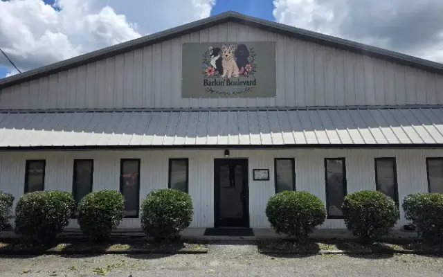 Barkin' Boulevard in Lebanon, TN