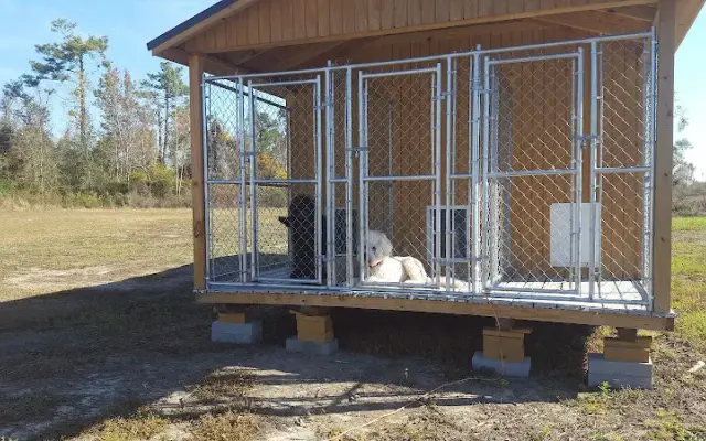 Tammy's Grooming Salon and Boarding in Marianna, FL