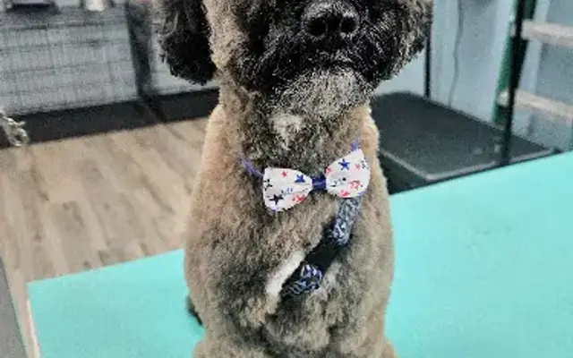 Grooms by Katie in Otsego, MN