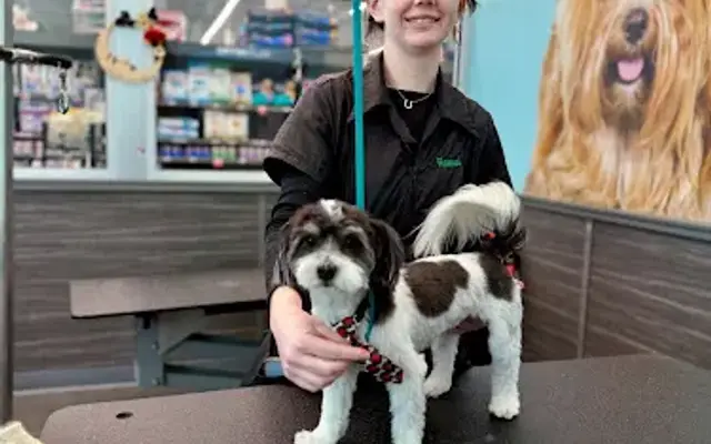 Pet Supplies Plus Williamsburg Grooming in Williamsburg, VA
