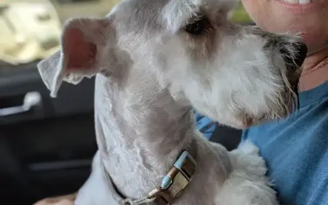 PetSmart Grooming in Johnson City, TN