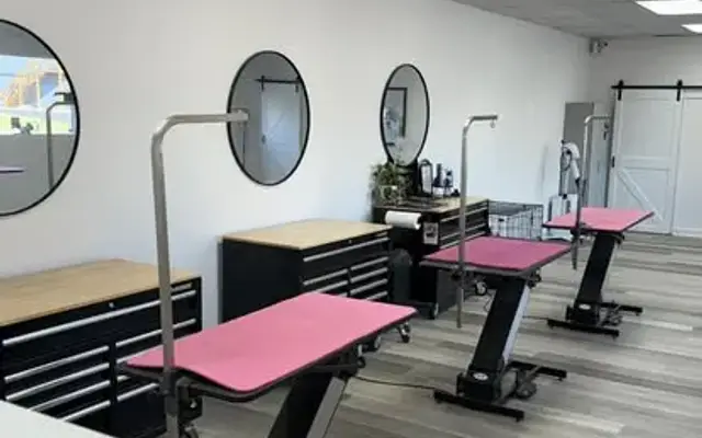 Worthy Pets Grooming Studio in Burnside, KY