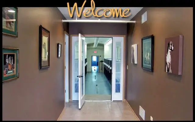 Dominoe Pet Resort in Island Lake, IL