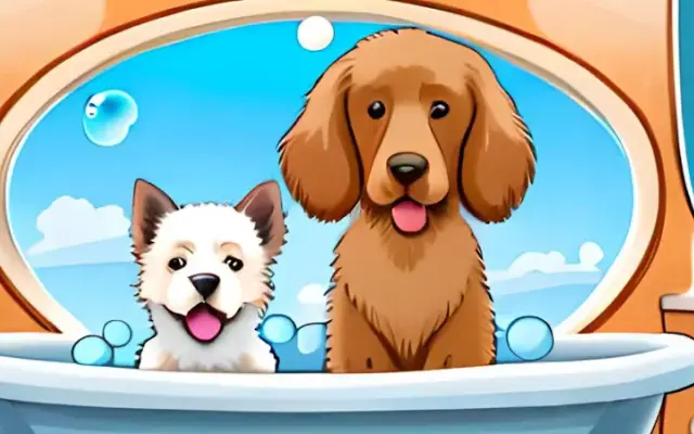 Pampered Pet’s Grooming Bonifay in Bonifay, FL
