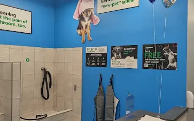 Pet Supplies Plus Easley in Easley, SC
