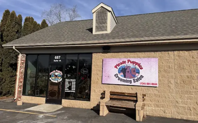 Pirate Puppies Grooming Salon in Belleville, MI